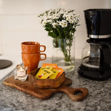 Flow Lapland Ahkio Apartment Rovaniemi